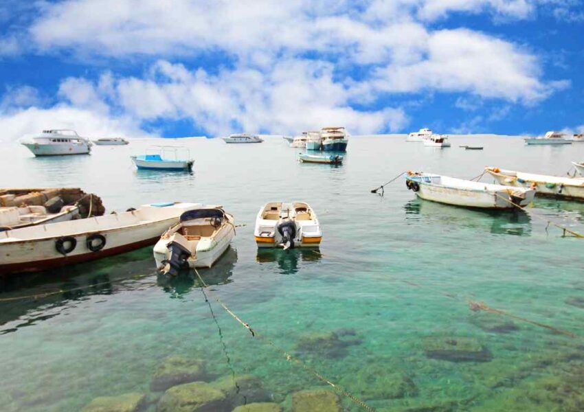 Hurghada Tours