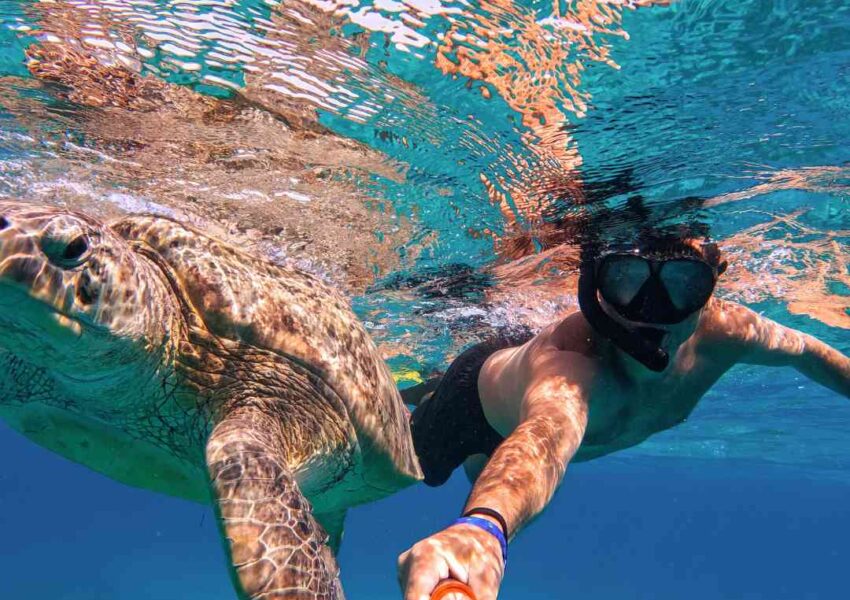 Marsa Alam Tours