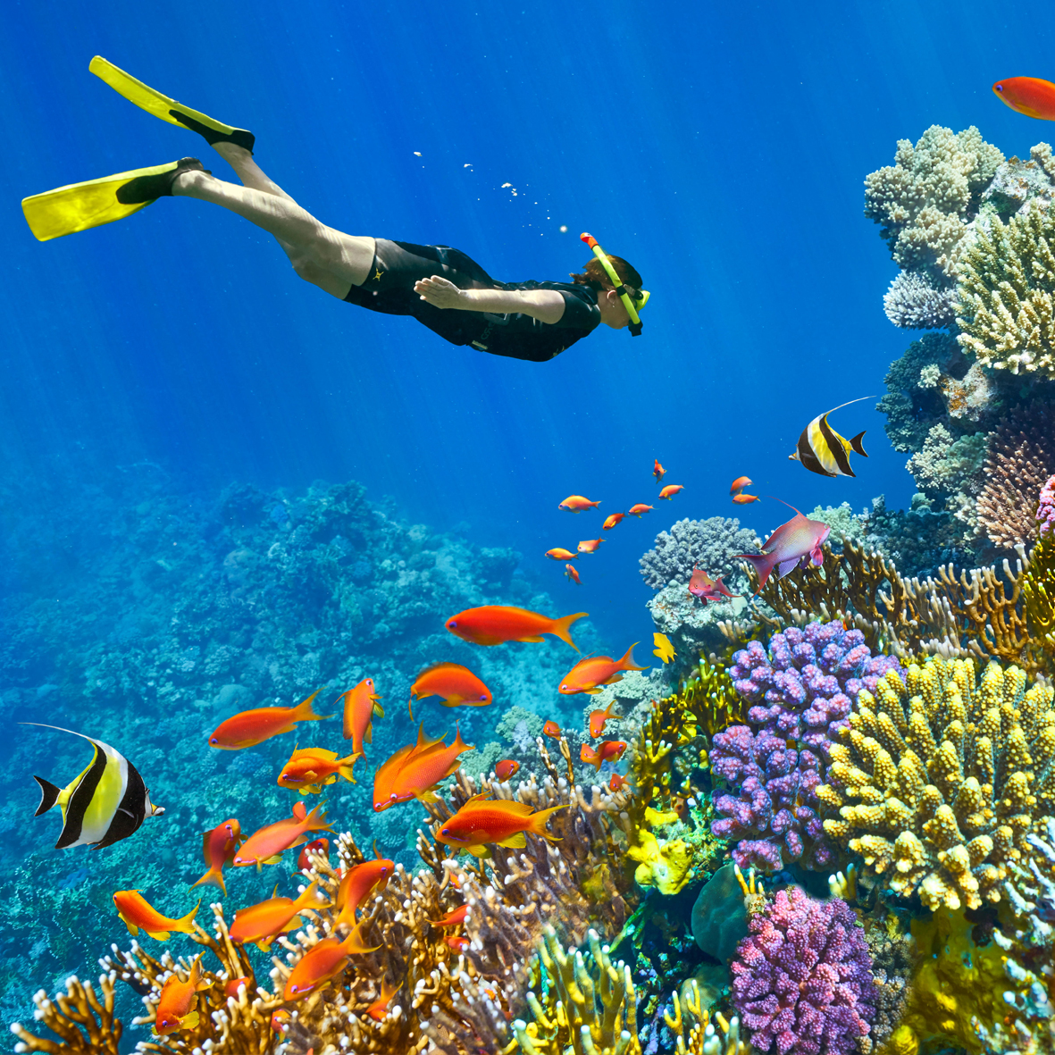 sharm el sheikh Tours