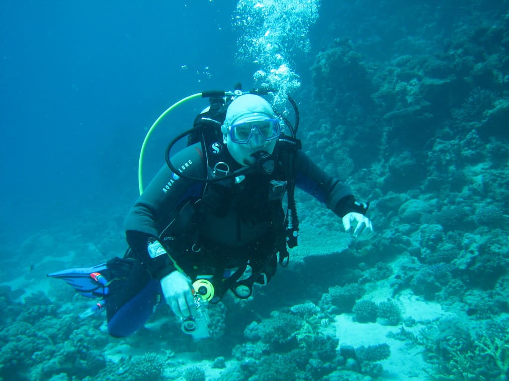 Unveiling the Underwater Wonders of Marsa Alam: A Scuba Diver's Paradise